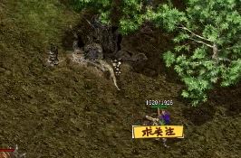 复古版本传奇道士使用就施毒术的讲究