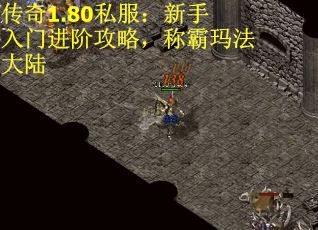 传奇1.80私服：新手入门进阶攻略，称霸玛法大陆