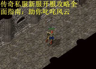 传奇私服新服开服攻略全面指南：助你叱咤风云