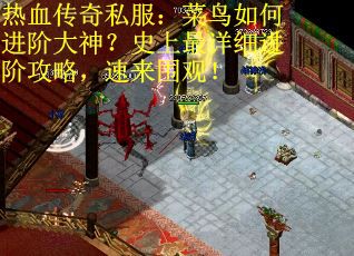 热血传奇私服：菜鸟如何进阶大神？史上最详细进阶攻略，速来围观！