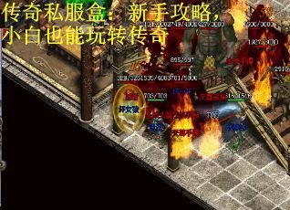 传奇私服盒：新手攻略，小白也能玩转传奇