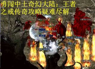 勇闯中土奇幻大陆：王者之戒传奇攻略疑难尽解