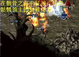 在骸骨之海中征战：传奇骷髅领主的制胜奇策