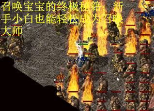召唤宝宝的终极秘籍：新手小白也能轻松成为召唤大师