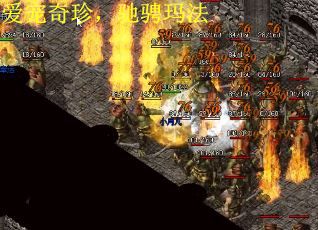 爱宠奇珍，驰骋玛法