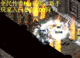 全民传奇Mu私服：新手玩家入门必备100问