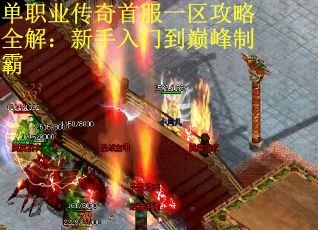 单职业传奇首服一区攻略全解：新手入门到巅峰制霸