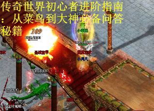 传奇世界初心者进阶指南：从菜鸟到大神必备问答秘籍