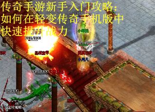 传奇手游新手入门攻略：如何在轻变传奇手机版中快速提升战力