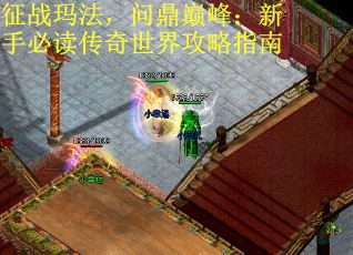 征战玛法，问鼎巅峰：新手必读传奇世界攻略指南