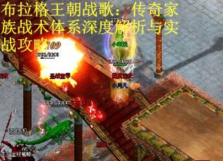 布拉格王朝战歌：传奇家族战术体系深度解析与实战攻略
