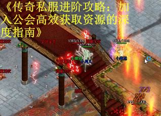 《传奇私服进阶攻略：加入公会高效获取资源的深度指南》