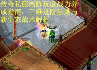 传奇私服高阶玩家战力养成指南：三维进阶法则与新生态战术解析