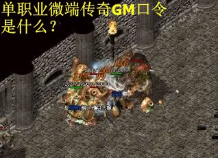 单职业微端传奇GM口令是什么？